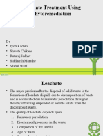 Leachate Treatment Using Phytoremediation