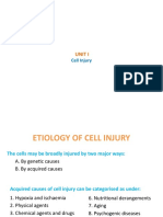 2 U1 Etiology of Cell Injury-1