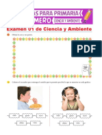 Exámen 1 de Ciencia y Ambiente para Primer Grado de Primaria