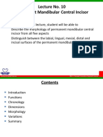 Lecture No. 10 Permanent Mandibular Central Incisor