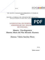 Materia: Psicolinguistica Maestra: Maria Del Pilar Miranda Alcantara Alumna: Valeria Sanchez Flores