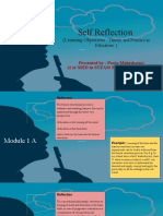 Self Reflection - MLO - Theory and Practice