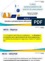 Curso Fundacentro PGR_GRO Dez 2020