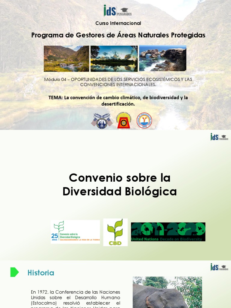 TEMA 01. Convenio Sobre La Diversidad