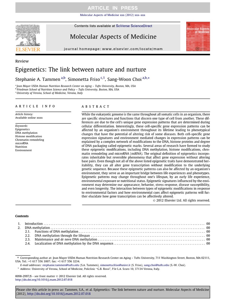 Mapa Mental Epigenetica. | PDF | Epigenetics | Dna Methylation