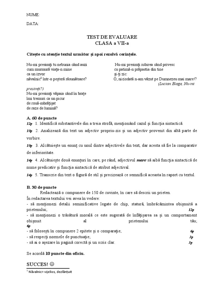 Test de Evaluare Clasa 7, Unitatea 3 | PDF