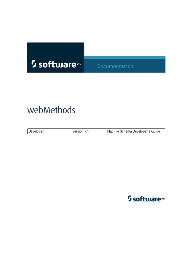 Developer Flat File Schema Developer's Guide Title Page PDF Xml