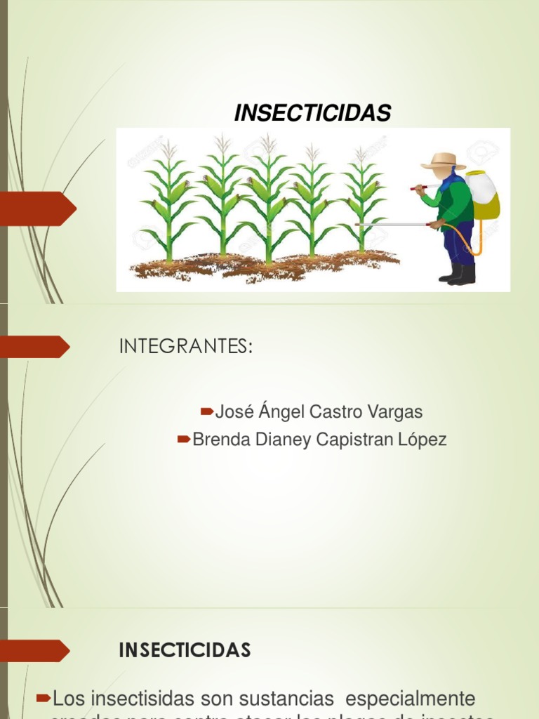 Clasificación y Tipos de Insecticidas | PDF | Insecticida