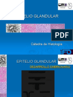Epitelio Glandular PDF