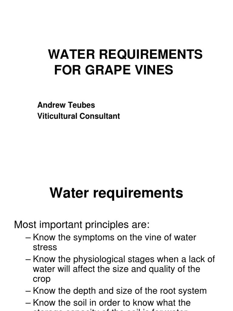 Water Requirements For Grape Vines Andrew Teubes Viticultural