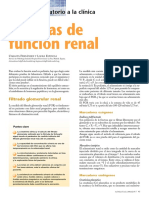 Pruebas de Función Renal