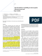 Nitric oxide regulates mitochondrial re-modelling in iBAT- ultrastructural and morphometric-stereologic studies 2008 research