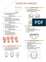 Ginecologia e Obstetrícia: Variedade de Posição
