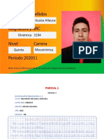 S3 - P1 - Chicaiza Allauca Edison Marcelo - I. Bibliográfica