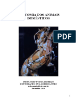 Anatomia Dos Animais Domésticos Autor Ciro Uchoa de Melo
