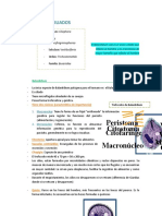 CiliadoBalantidiumColiInfectaHombre