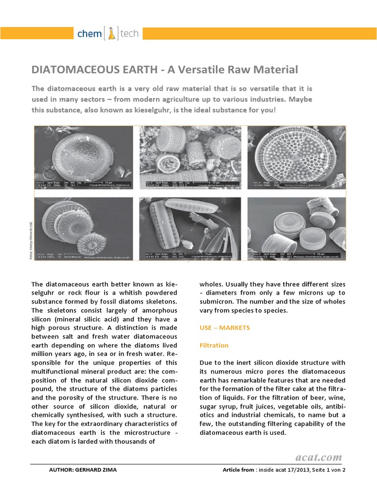 DIATOMACEOUS EARTH A Versatile Raw Material: Use - Markets Filtration ...
