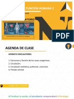 Aparato circulatorio: estructura, función y tipos de circulación