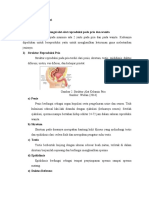 Materi RPP