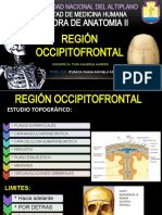 Región Occipitofrontal