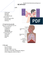 HỆ HÔ HẤP - KHOANG MŨI - HẦU - THANH QUẢN