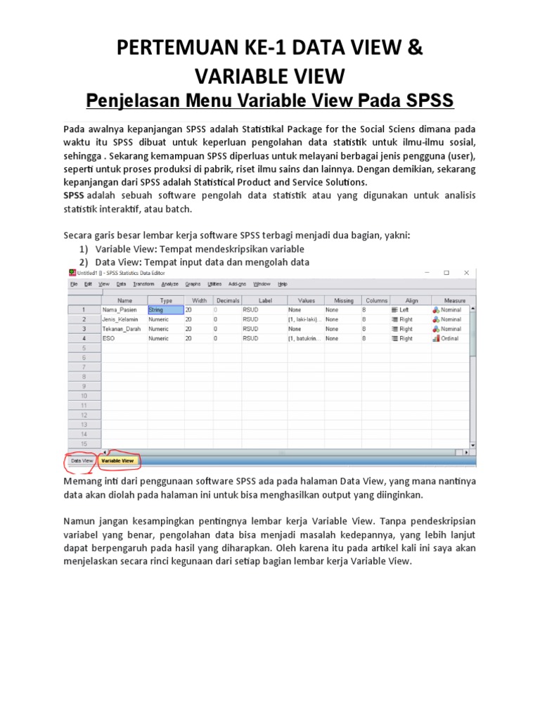 Pertemuan Ke 1 SPSS Penjelasan Lengkap Menu Variable View Pada SPSS | PDF