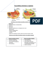 Resumos de Célula Eucarióticas Animais e Vegetais