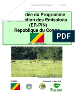 2014_ER-R_PIN_Republique_du_Congo