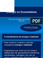 energia-no-ecossistema (2)
