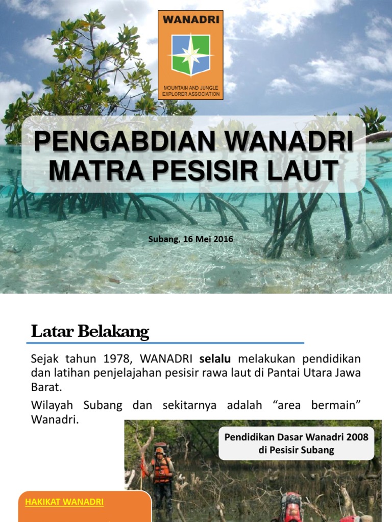 Paparan Wanadri - Mangrove Mayangan | PDF