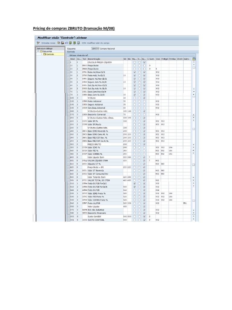 ZBRUTO Pricing and Tax Conditions Guide | PDF | Computing | Software ...