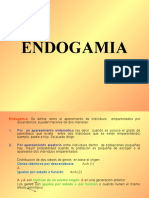 ENDOGAMIA