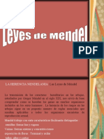 Leyes de Mendel Ok