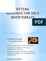 Sistema Re Product Or Dels Invertebrats