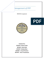 Management of PPP: REUIM Assignment