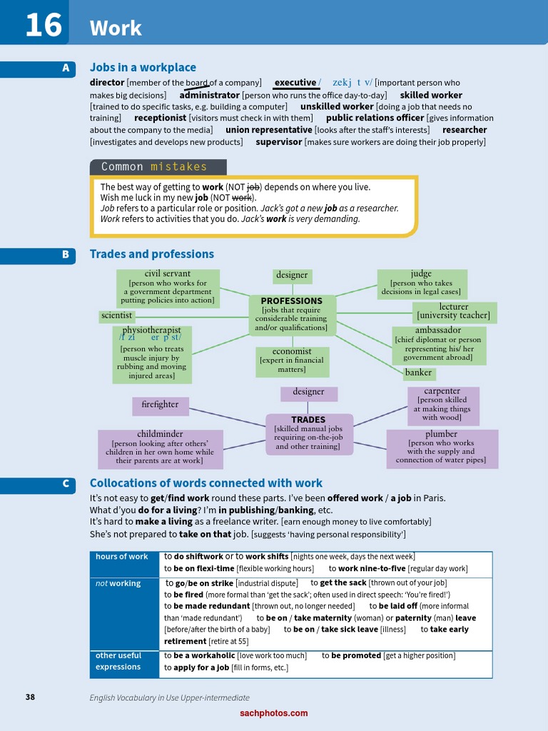 Job Titles and Work Vocabulary | PDF | Labor | Employment