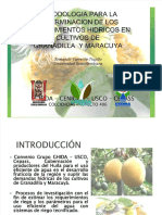 pdf-cedula-cultivo-granadilla_compress