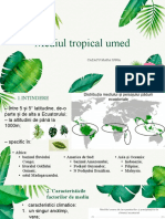 Mediul Tropical Umed