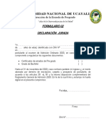 Declaracion Jurada - Formulario 02 - Maestria