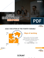 AGILE EXECUTION AS THE FOURTH VARIABLE