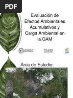 Efectos Acumulativos I