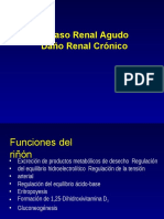 Renal IRA IRC - (09-03)