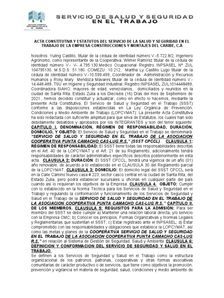 Acta Constitutiva de Seguridad Laboral | PDF | Seguridad y salud ...
