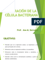 Respiración Bacteriana