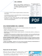 Unidad 2. - 2.2 Ciclo Del Carbono, Nitrógeno