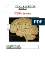 تعديلPractical MCQ Neuro 2020