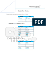 Acerca de los sustantivos plurales