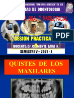 Facultad de Odontologia: Sesion Practica #9