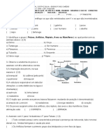 Aval SR 2ºano3º Trim.60