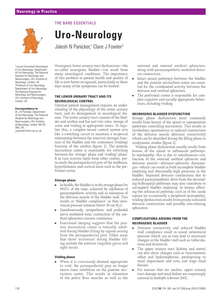 Understanding Neurogenic Bladder Dysfunction | PDF | Urinary ...